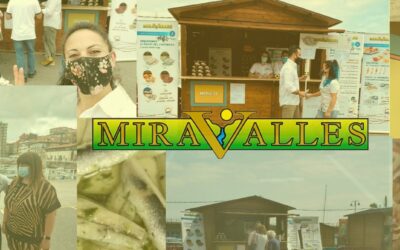 Feria de conserva de pescado